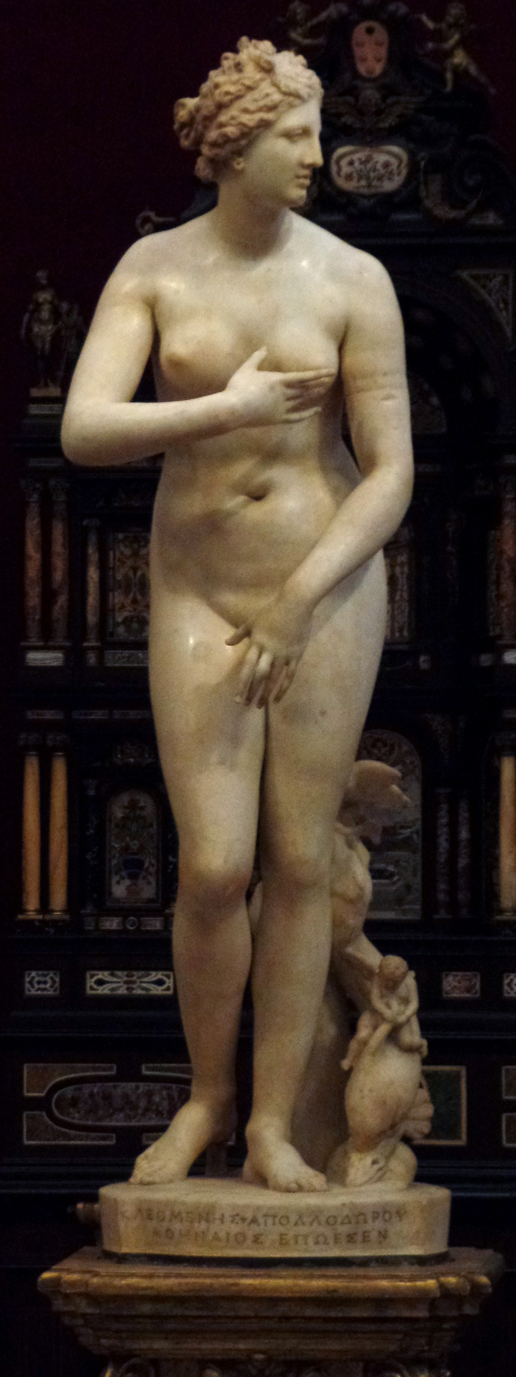 Medici Venus